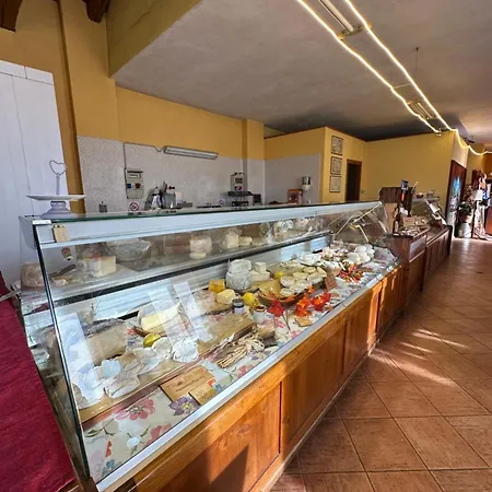 Nice And Cozy Apprtment In Murazzano With Panoramic View Apartment