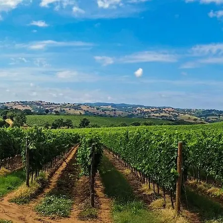 Nice And Cozy Apprtment In Murazzano With Panoramic View Apartment Murazzano (Cuneo)