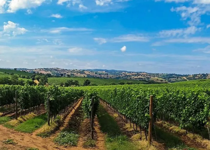 Nice And Cozy Apprtment In Murazzano With Panoramic View Apartman Murazzano